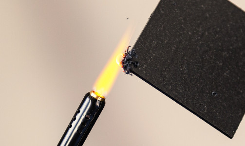 Expandable Graphite being lit on fire